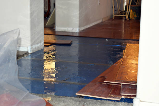 Professional Burst Pipe Cleanup technician working in Coupland, TX